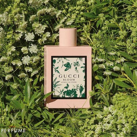 gucci bloom acqua di fiori review